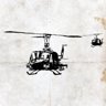 Air Cavalry