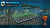 Turtle Sale