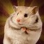 Hamster