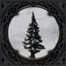 Winter Wonderland