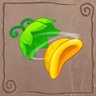 Boomerang Seed
