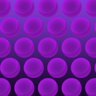Purple Science