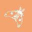 Moth Mapper