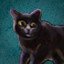 Cat’s Back
