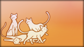 Found 160 cats