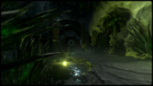Toxic Transit