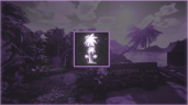 Tropical Beach