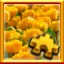 Tulips Complete!