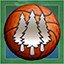 Timber Hoops