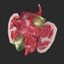 Carnivore
