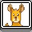 Kangaroos