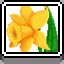 Daffodil