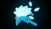 Blooms of Light
