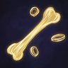 It doesn't give a coin, but here's an achievement.