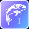 Here, Fishy, Fishy! I