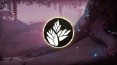 Dunegrass Collector