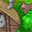 Forest Clear