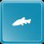 Tench