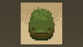 Forest Enthusiast