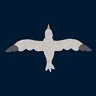 Flight of the Seagull