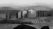 The Vineyard
