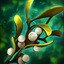 Path of the holy plant