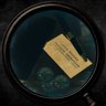 Rookie Sleuth