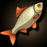 Timberwell Goopy Catcher