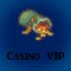 Casino VIP