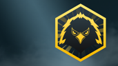 Eagle Eye