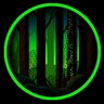 Amongst the Trees