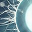 Genetic Manipulation