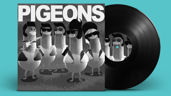 Carrier Pigeon