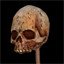 Skeletons
