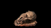 Guardian Ape Immortality Severed