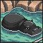 Hippopotamus