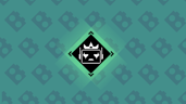 Expert