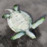 Giant Turtle Savior