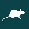 Rat Race