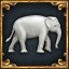The White Elephant