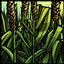 Crop Rotation