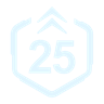 Level 25