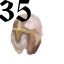 35