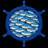 500 Fish