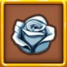 Florist
