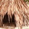 Love Shack