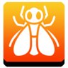 insect