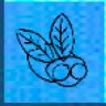 Brundlefly