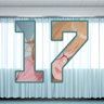 17 level completed