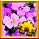 Purple Flowers Complete!